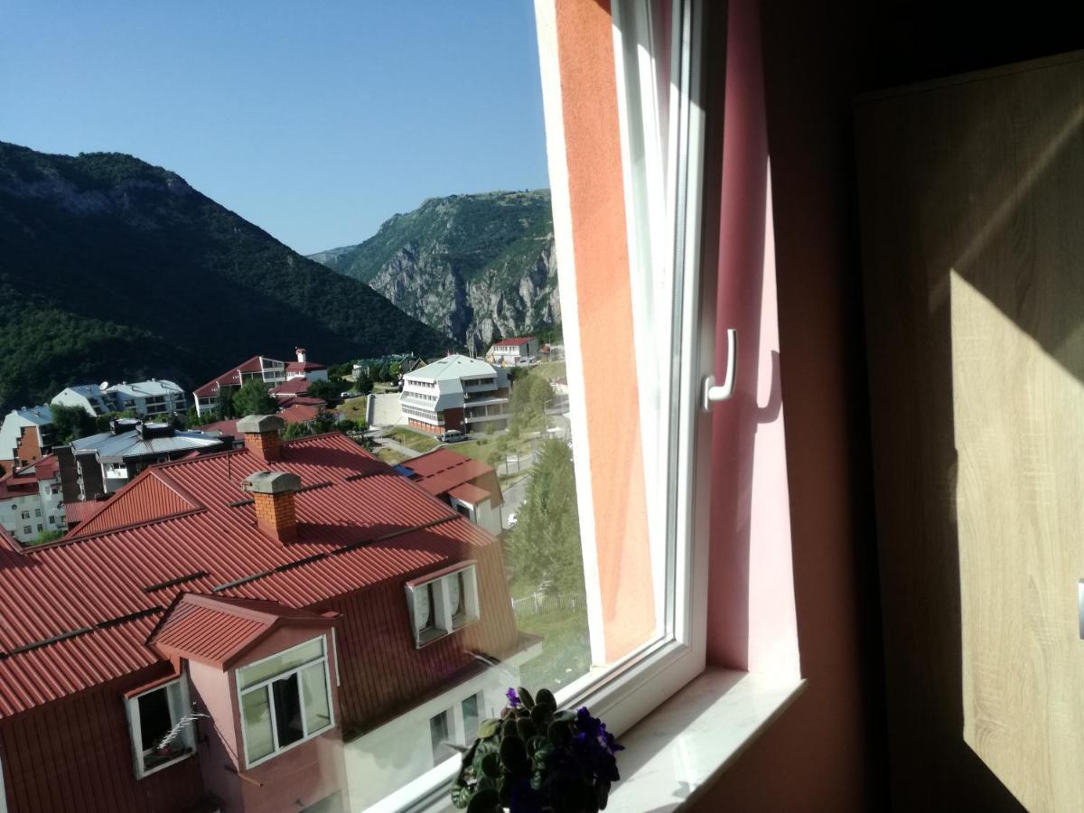 Apartman Dunja Plužine Dış mekan fotoğraf